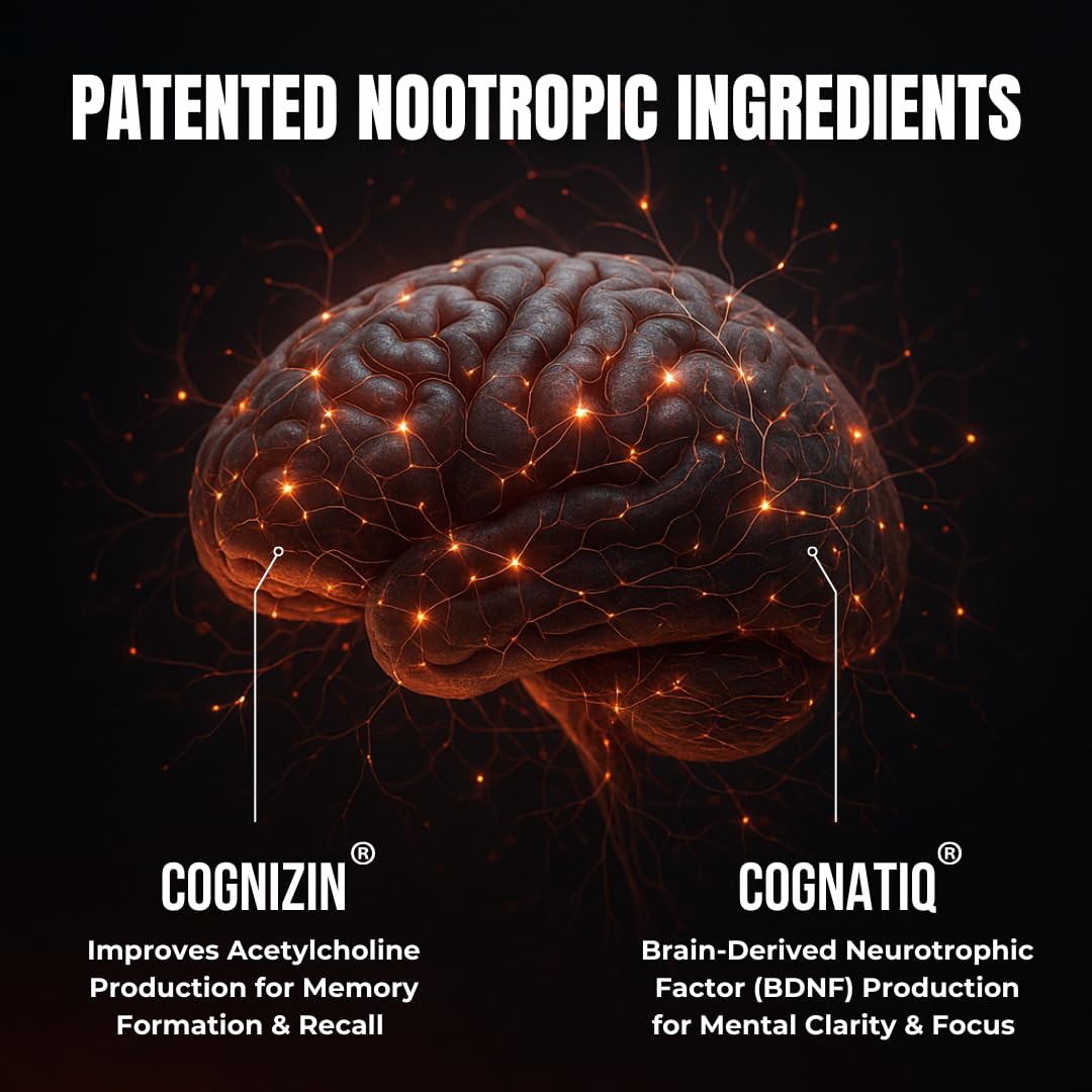 FOCUS + THINK Nootropic Brain Supplement Bundle - Energy, Memory & Focus Support - Caffeine + Caffeine-Free Cognitive Stack with Lion's Mane, Bacopa, Citicoline & L-Theanine - 2 Bottles (90 + 90 Capsu - Maple Wellness Supplements
