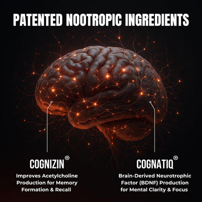 FOCUS + THINK Nootropic Brain Supplement Bundle - Energy, Memory & Focus Support - Caffeine + Caffeine-Free Cognitive Stack with Lion's Mane, Bacopa, Citicoline & L-Theanine - 2 Bottles (90 + 90 Capsu - Maple Wellness Supplements