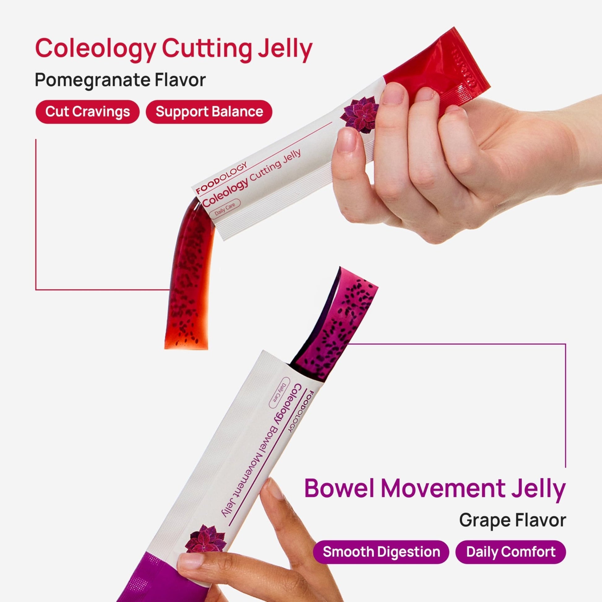 FOODOLOGY Coleology Bowel Movement Jelly (Grape & Prune) – Prebiotic Fiber Supplement for Gut Health & Daily Regularity, Chia Seeds, Korean Supplement – 10 Sticks - Maple Wellness Supplements