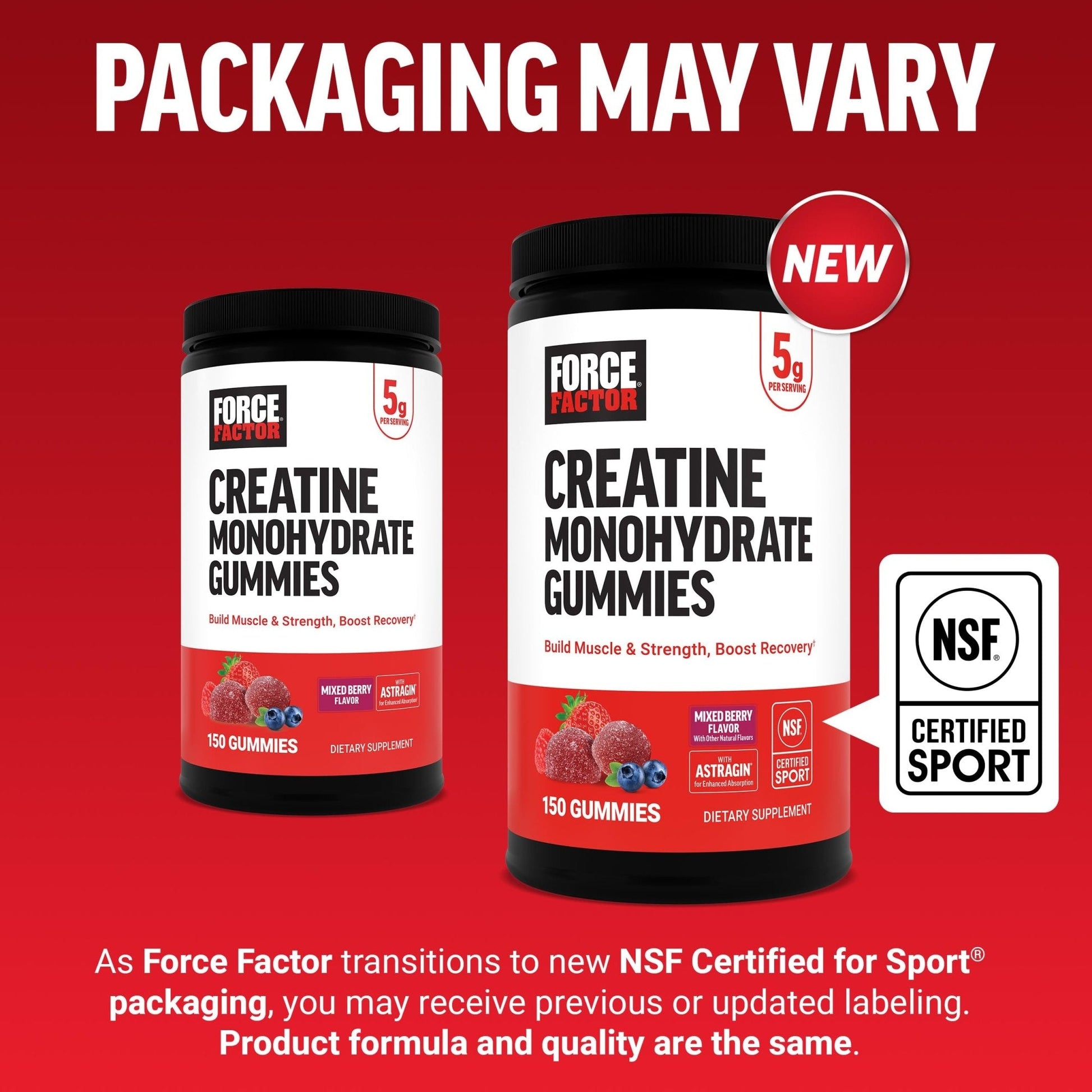 Force Factor Creatine Monohydrate Gummies, NSF Certified, 5g Dose for Men & Women to Support Muscle, Strength, Recovery, Cognitive Health & Memory, Mixed Berry, 150 Gummies - Maple Wellness Supplements