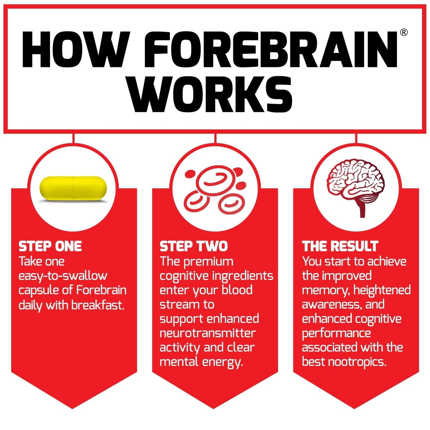 Force Factor Forebrain Nootropic Brain Supplement to Improve Memory, Boost Focus, Increase Mental Energy, and Support Brain Health with Caffeine, Bacopa, and Huperzine A, 30 Capsules - Maple Wellness Supplements