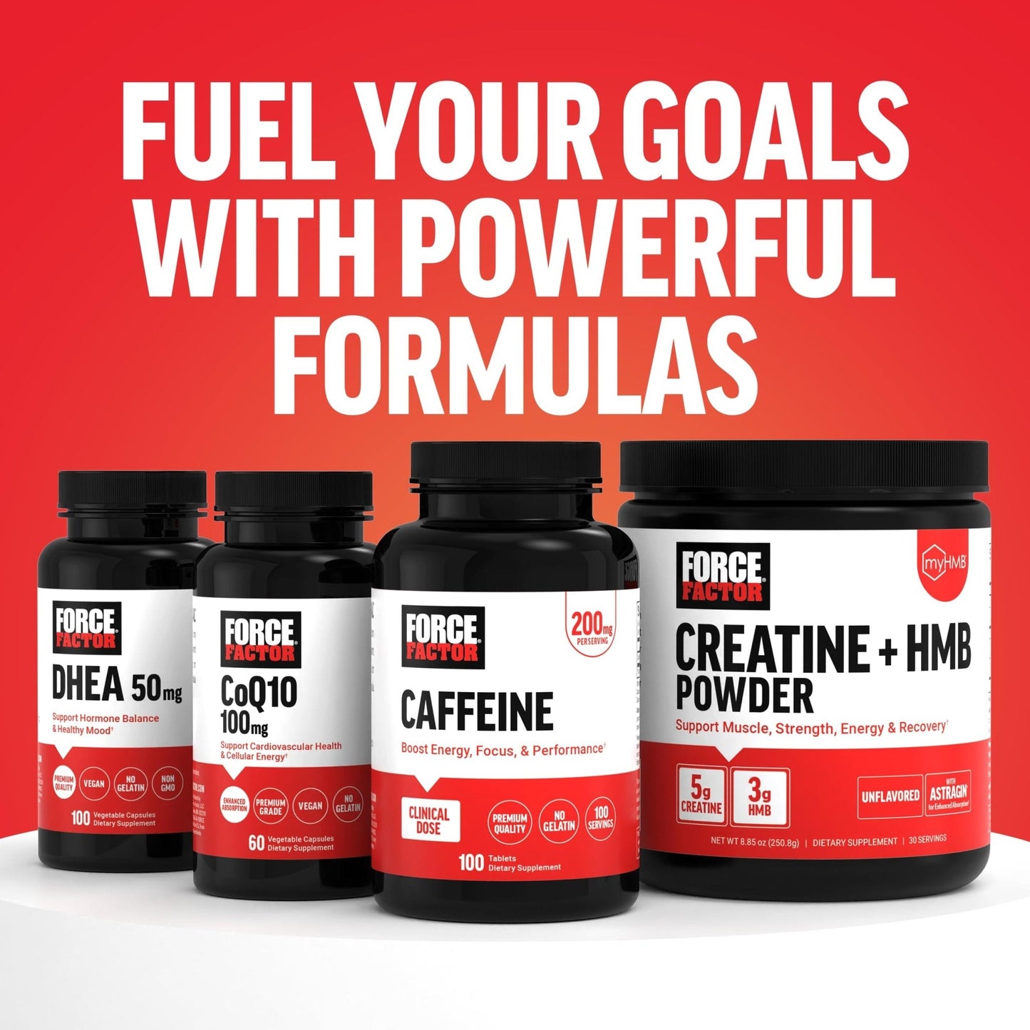 Force Factor L-Carnitine Liquid 3000mg, Maximum Strength Supplement to Support Fat Metabolism, Cellular Energy & Muscle Recovery, High Absorbing - Maple Wellness Supplements