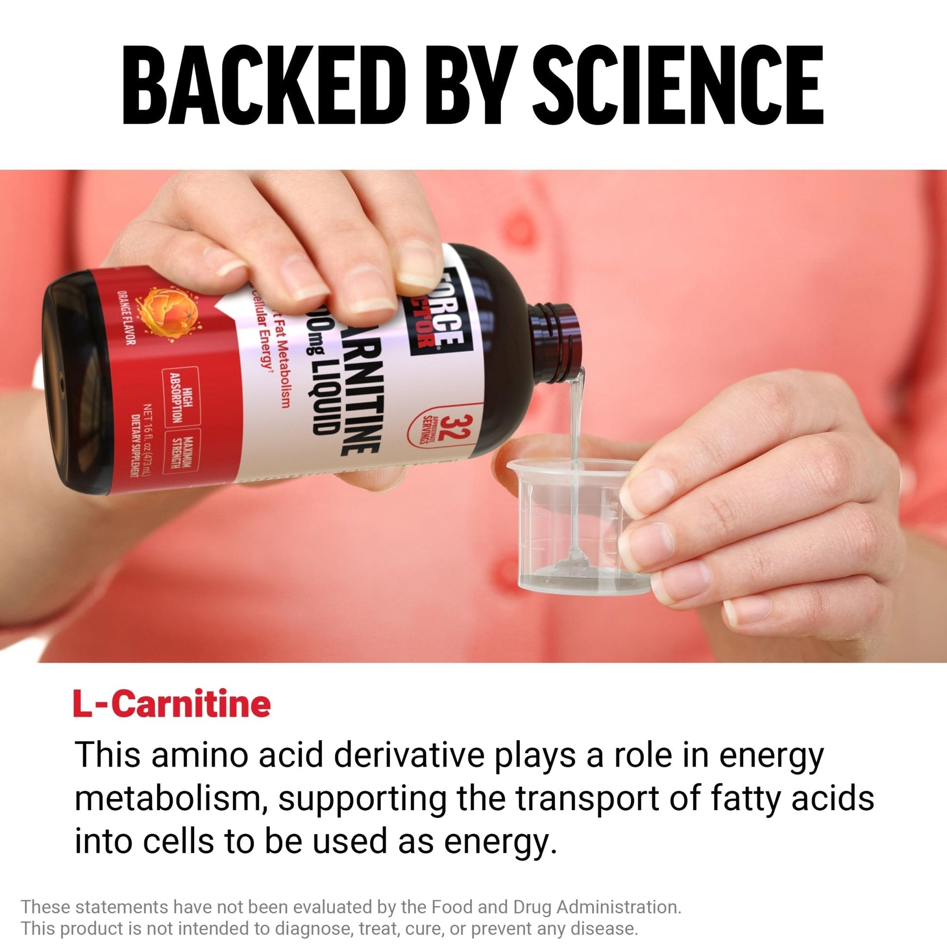 Force Factor L-Carnitine Liquid 3000mg, Maximum Strength Supplement to Support Fat Metabolism, Cellular Energy & Muscle Recovery, High Absorbing - Maple Wellness Supplements