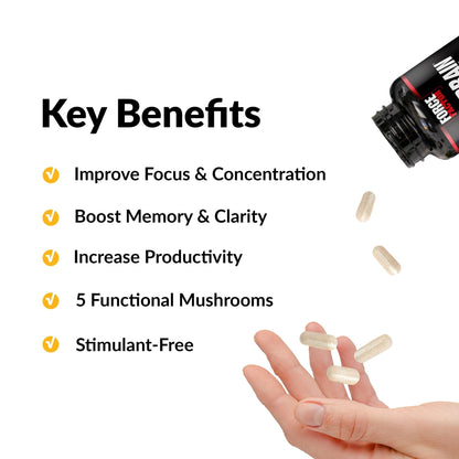 Forebrain Focus Brain Booster, Brain Supplement to Boost Clarity & Concentration, Improve Memory & Sharpness & Productivity, Nootropic Brain Support Supplement, Force Factor, 120 Capsules, Black - Maple Wellness Supplements