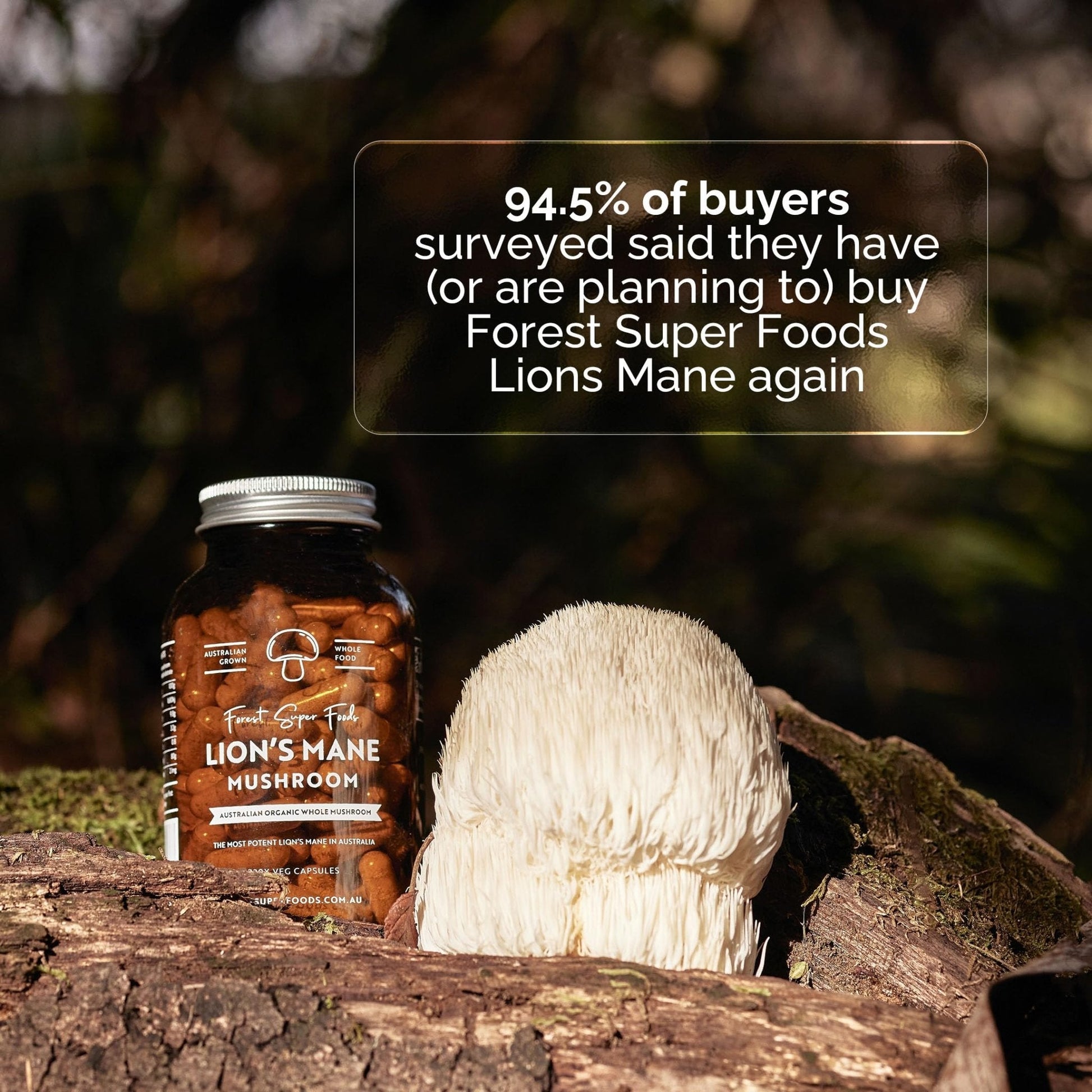 Forest Super Foods Lions Mane Supplement Capsules (120 Capsules) Organic Lions Mane Mushroom | Memory Lift Brain Supplement for Focus and Productivity. Lion Mane, Grown & Made in Australia - Maple Wellness Supplements