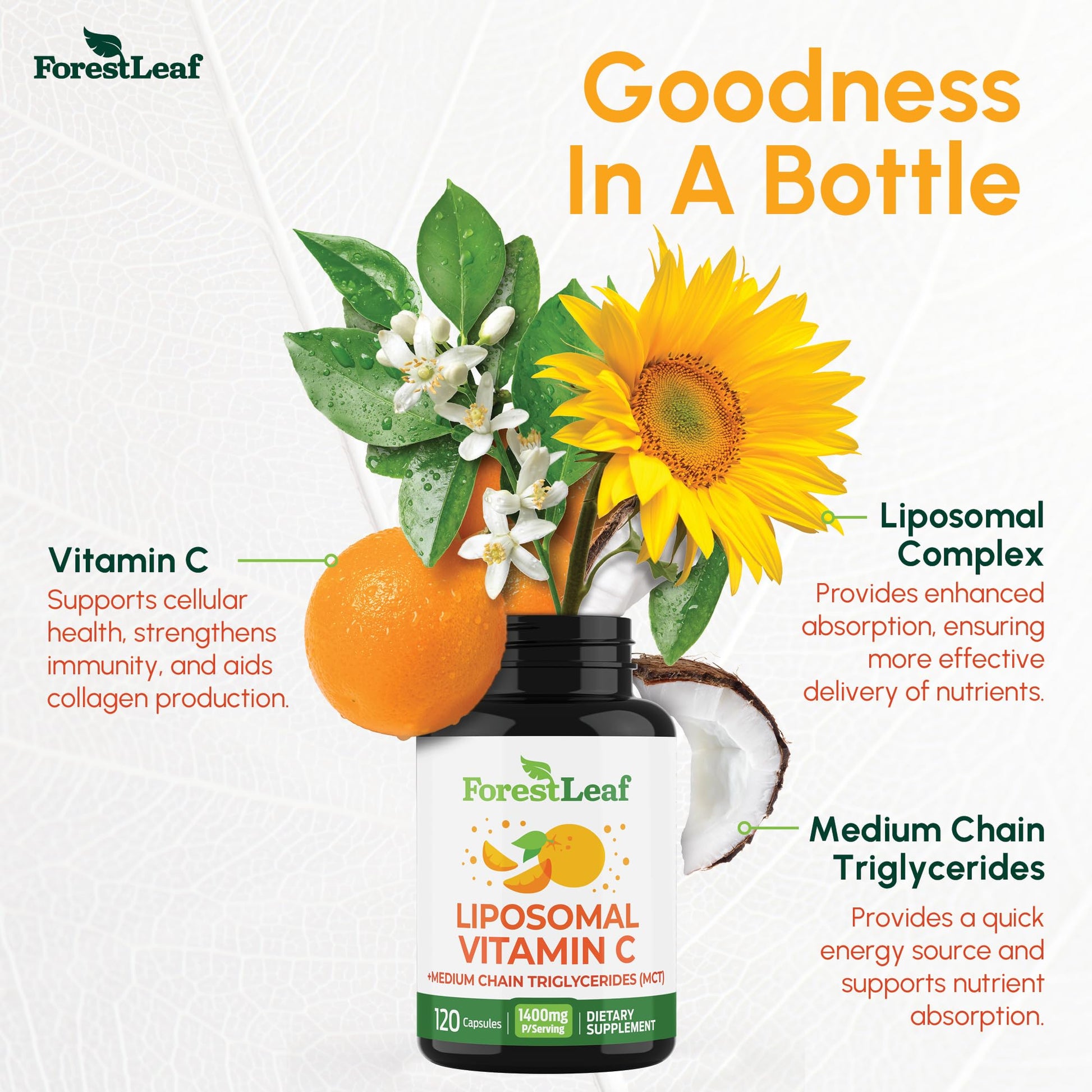 ForestLeaf Liposomal Vitamin C 1400mg Capsules | High Dose Vitamin C Liposomal Supplement w Coconut Oil Fatty Acids | Fast Absorption | Immune Support, Antioxidant, - Maple Wellness Supplements