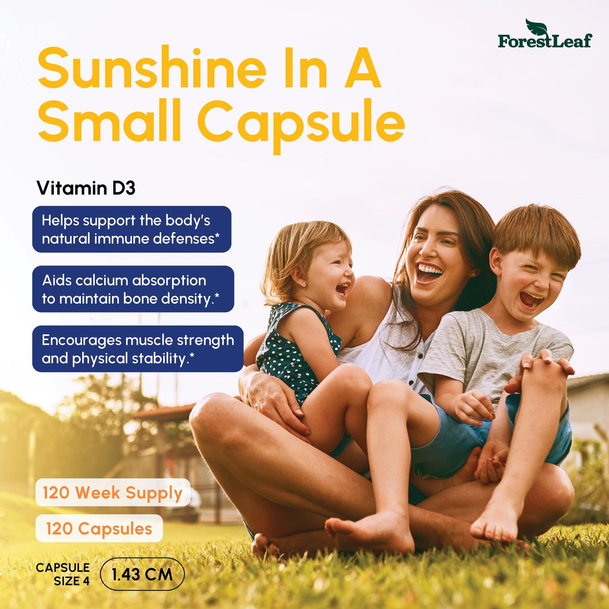 ForestLeaf Vitamin D3 50,000 IU | VIT D - Kosher VIT D3 Vitamin D Supplement for Women and Men | Bone Health, Teeth, Immune Support - Maple Wellness Supplements