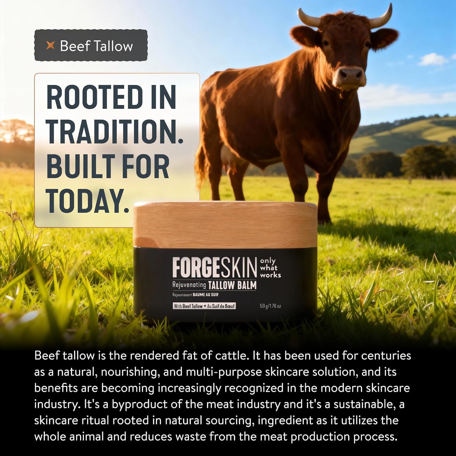 Forge Skin® Wrinkle Defense Beef Tallow Balm for Men [TALLOW-BASED] Moisturizer for Face Hydration - Hydrating Anti Aging Skin Cream - Maple Wellness Supplements
