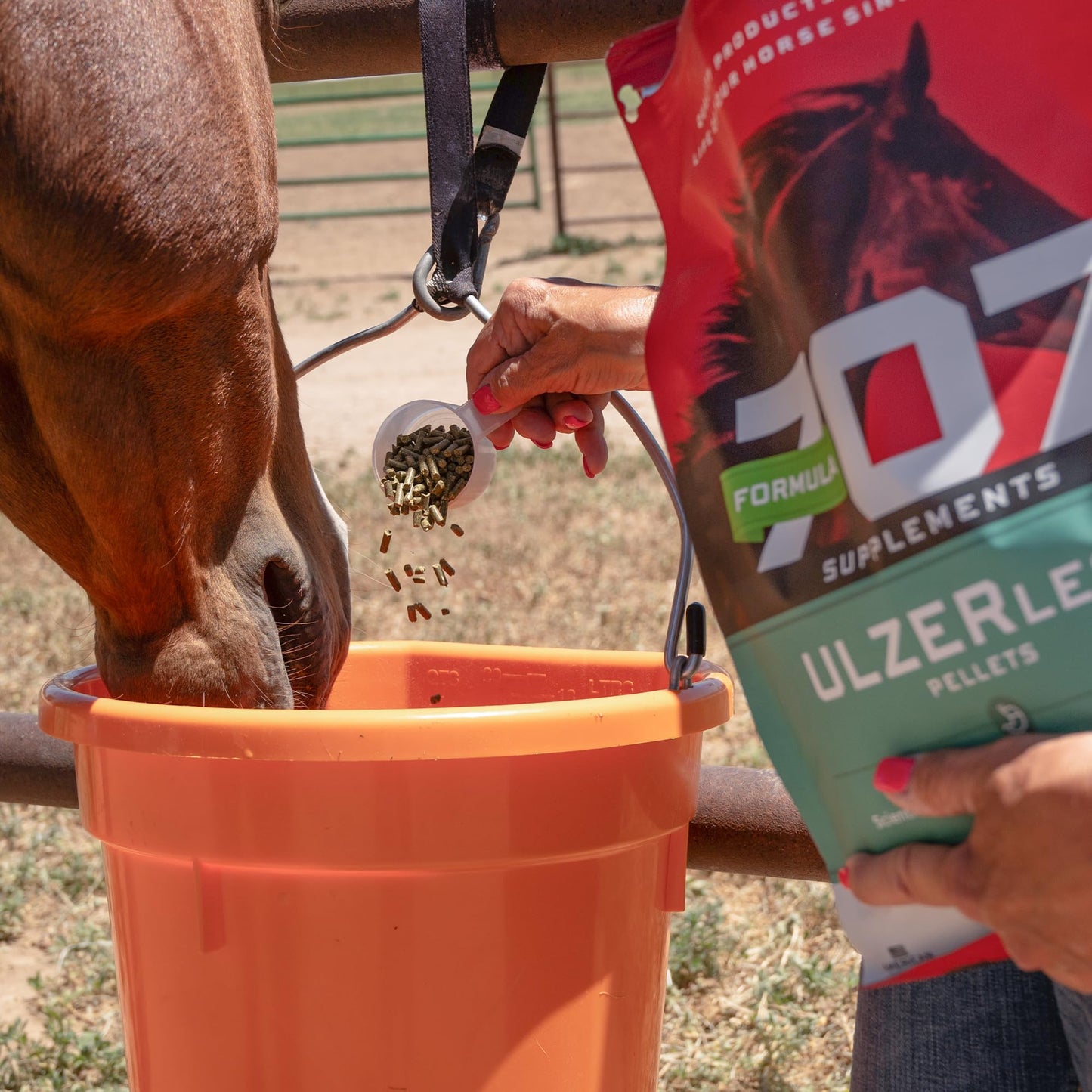 Formula 707 ULZERless Equine Supplement, 7.5lb Bag - Natural Gut Support for Horses with Ulcer Risk Factors - Maple Wellness Supplements