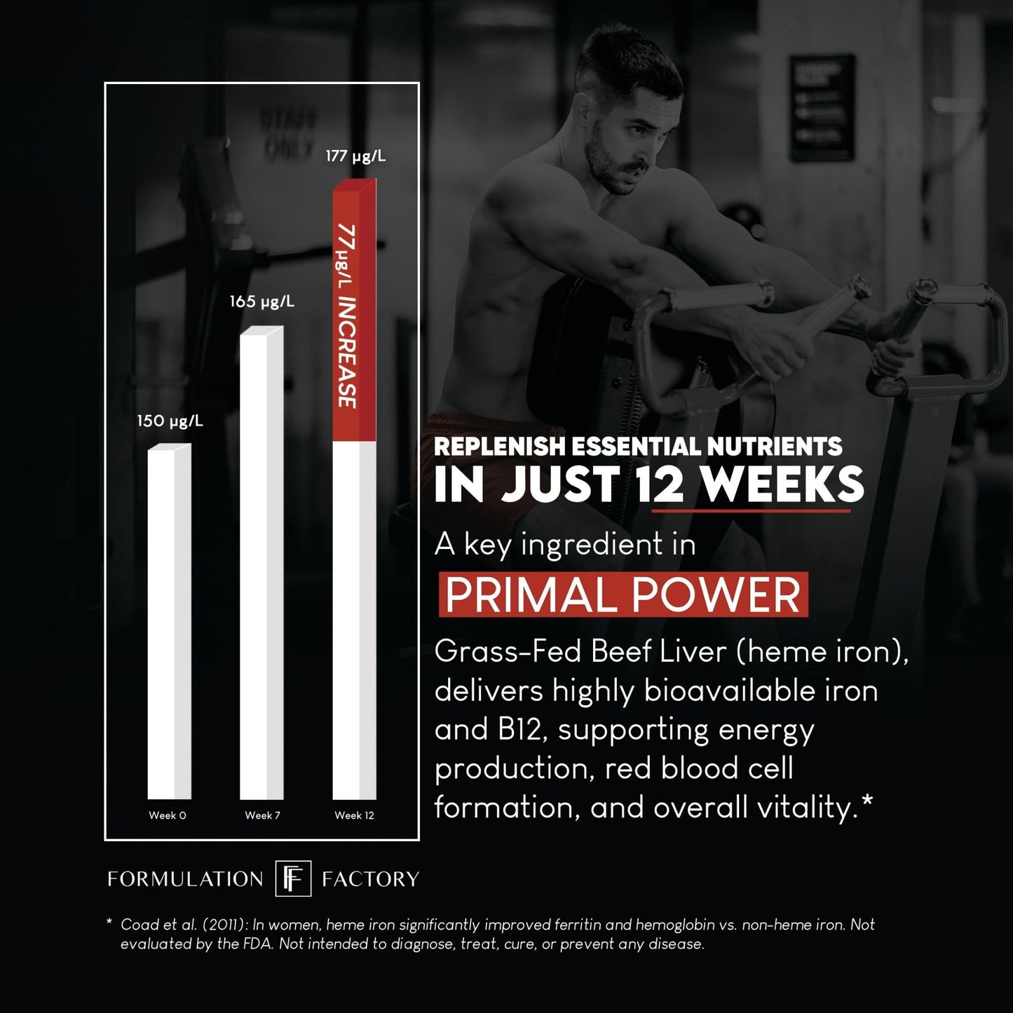 Formulation Factory Primal Power 10-in-1 Grass-Fed Organ Supplement with Beef Liver, Heart, Marrow, Testicle, Kidney, Supports Vitality, Hormones, Energy, Immunity (4 Month Supply, 240 Capsules) - Maple Wellness Supplements