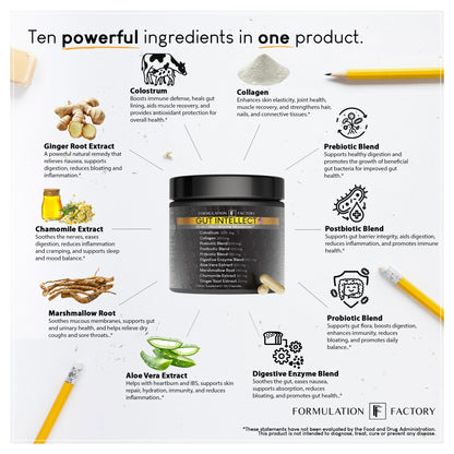 Formulation Factory Probiotics for Women & Men - Gut Intellect 10-in-1 Digestive Enzymes with Prebiotics and Postbiotics - Total Gut Health Supplement - 120 Capsules, 2 Month Supply - Maple Wellness Supplements