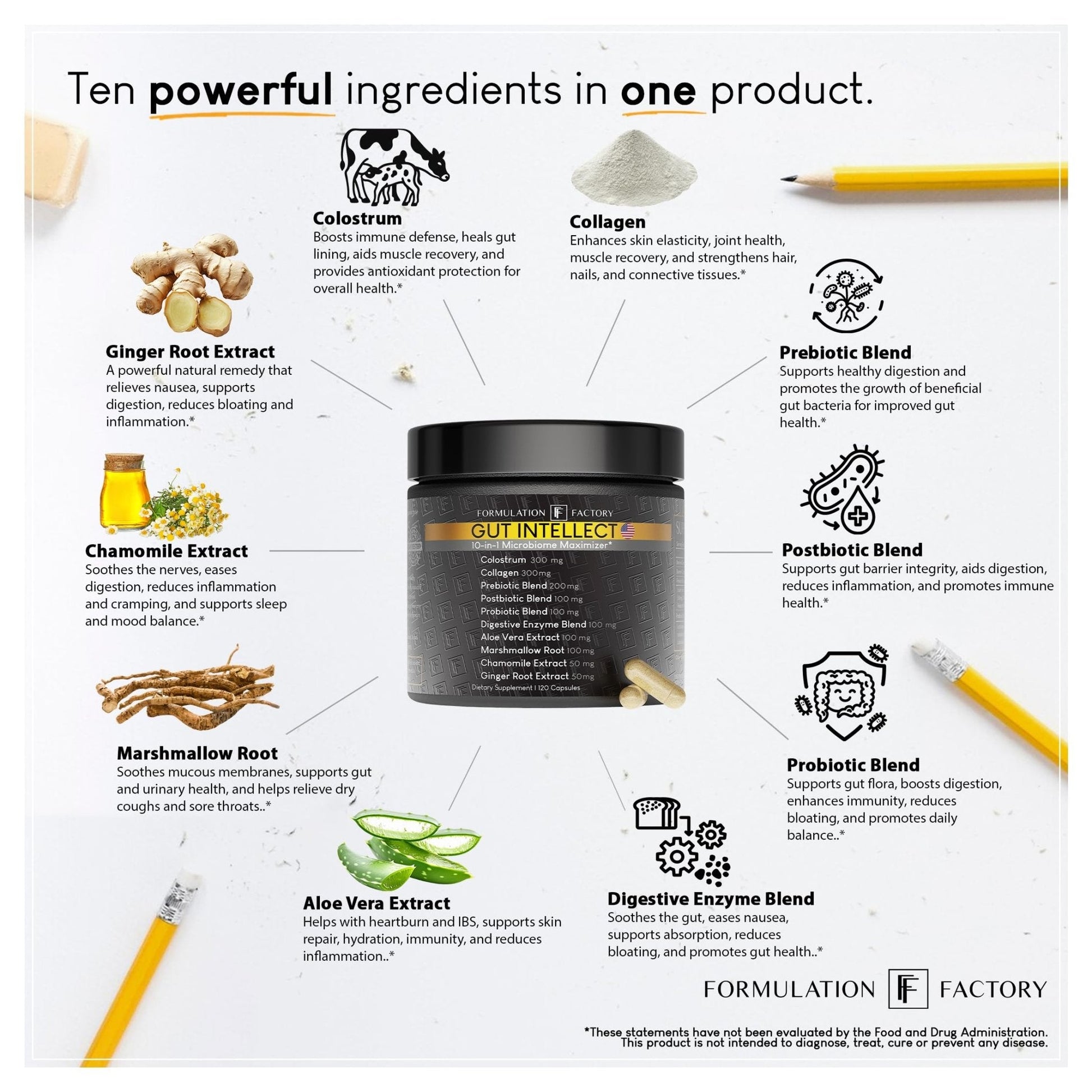 Formulation Factory Probiotics for Women & Men - Gut Intellect 10-in-1 Digestive Enzymes with Prebiotics and Postbiotics - Total Gut Health Supplement - Maple Wellness Supplements