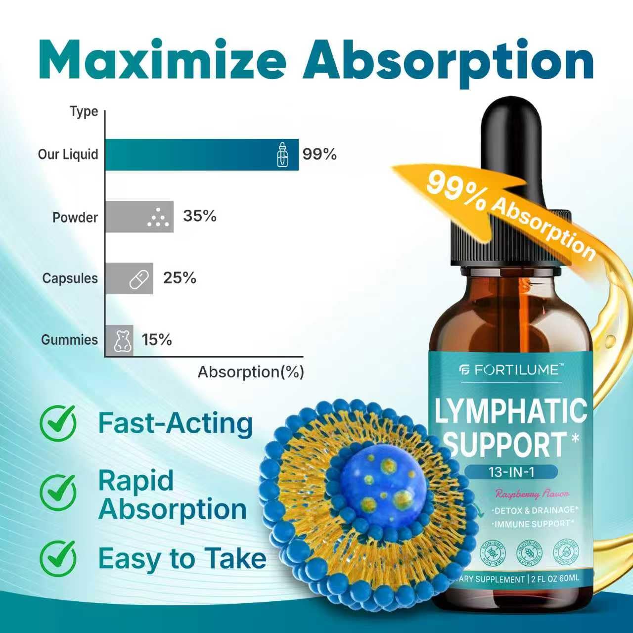 FORTILUME Liposomal Lymphatic Drainage Drops, 13 in 1 Lymphatic Support Drops with Elderberry & Echinacea, Immune & Lymph System Support, Raspberry Flavor, 2 Fl.Oz (30 Servings) - Maple Wellness Supplements