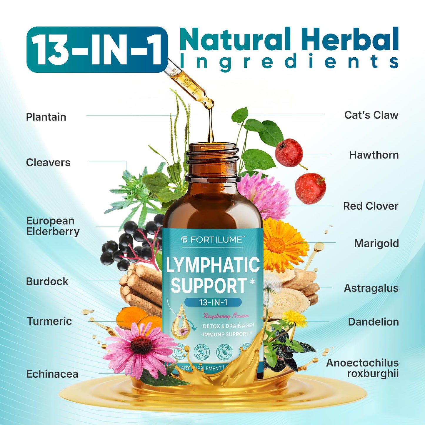 FORTILUME Liposomal Lymphatic Drainage Drops, 13 in 1 Lymphatic Support Drops with Elderberry & Echinacea, Immune & Lymph System Support, Raspberry Flavor, 2 Fl.Oz (30 Servings) - Maple Wellness Supplements