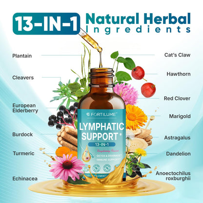 FORTILUME Liposomal Lymphatic Drainage Drops, 13 in 1 Lymphatic Support Drops with Elderberry & Echinacea, Immune & Lymph System Support, Raspberry Flavor, 2 Fl.Oz (30 Servings) - Maple Wellness Supplements