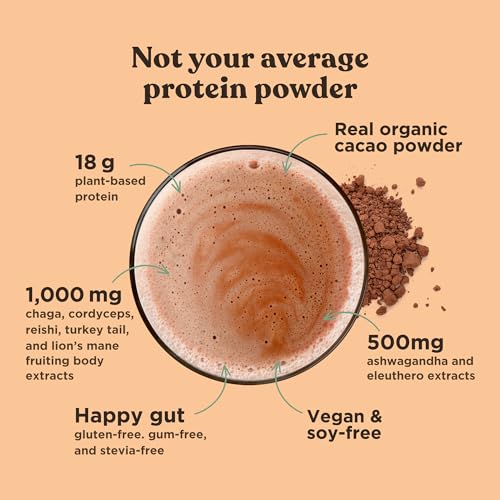 Four Sigmatic Organic Plant-Based Protein Powder Creamy Cacao Protein with Lion’s Mane - Maple Wellness Supplements