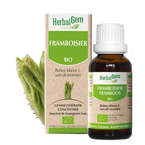 Framboisier BIO Macérat mère Bourgeons Flacon 30 ml HERBALGEM - Maple Wellness Supplements
