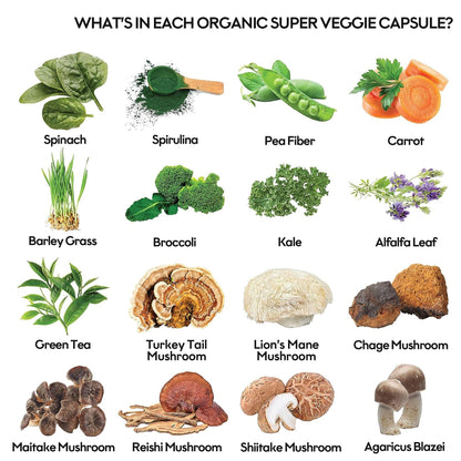 Fruits and Veggies Supplement (60 Day Supply) Powerfull Blend of 39 Whole Fruits and Veggies, Fills Nutritional Gaps, Get Energy, Well-being. USA Made Non-GMO/Vegan/Gluten Free. Packaging May Vary - Maple Wellness Supplements