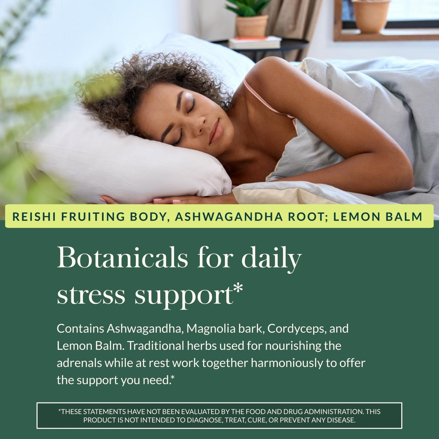 Gaia Herbs Adrenal Health Daily Support, Help Maintain Healthy Energy & Stress Levels*,120 Liquid Phyto-Caps Adrenal Health Nightly Restore, 120 Liquid Phyto-Caps - Bundle - Maple Wellness Supplements