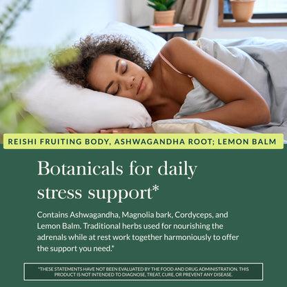 Gaia Herbs Adrenal Health Daily Support, Help Maintain Healthy Energy & Stress Levels*,120 Liquid Phyto-Caps Adrenal Health Nightly Restore, 120 Liquid Phyto-Caps - Bundle - Maple Wellness Supplements