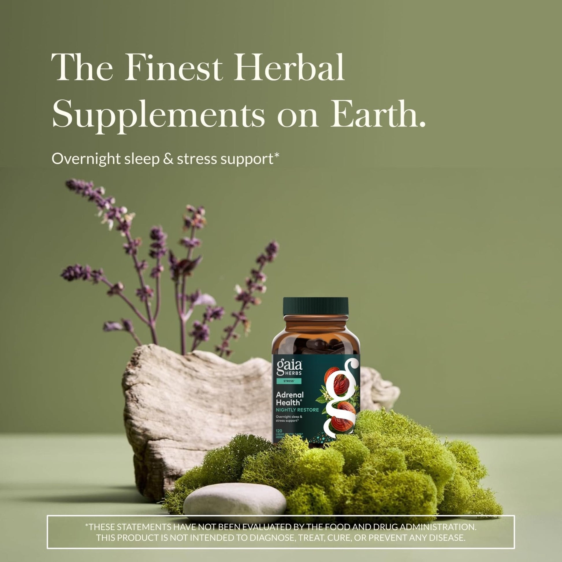 Gaia Herbs Adrenal Health Daily Support, Help Maintain Healthy Energy & Stress Levels*,120 Liquid Phyto-Caps Adrenal Health Nightly Restore, 120 Liquid Phyto-Caps - Bundle - Maple Wellness Supplements