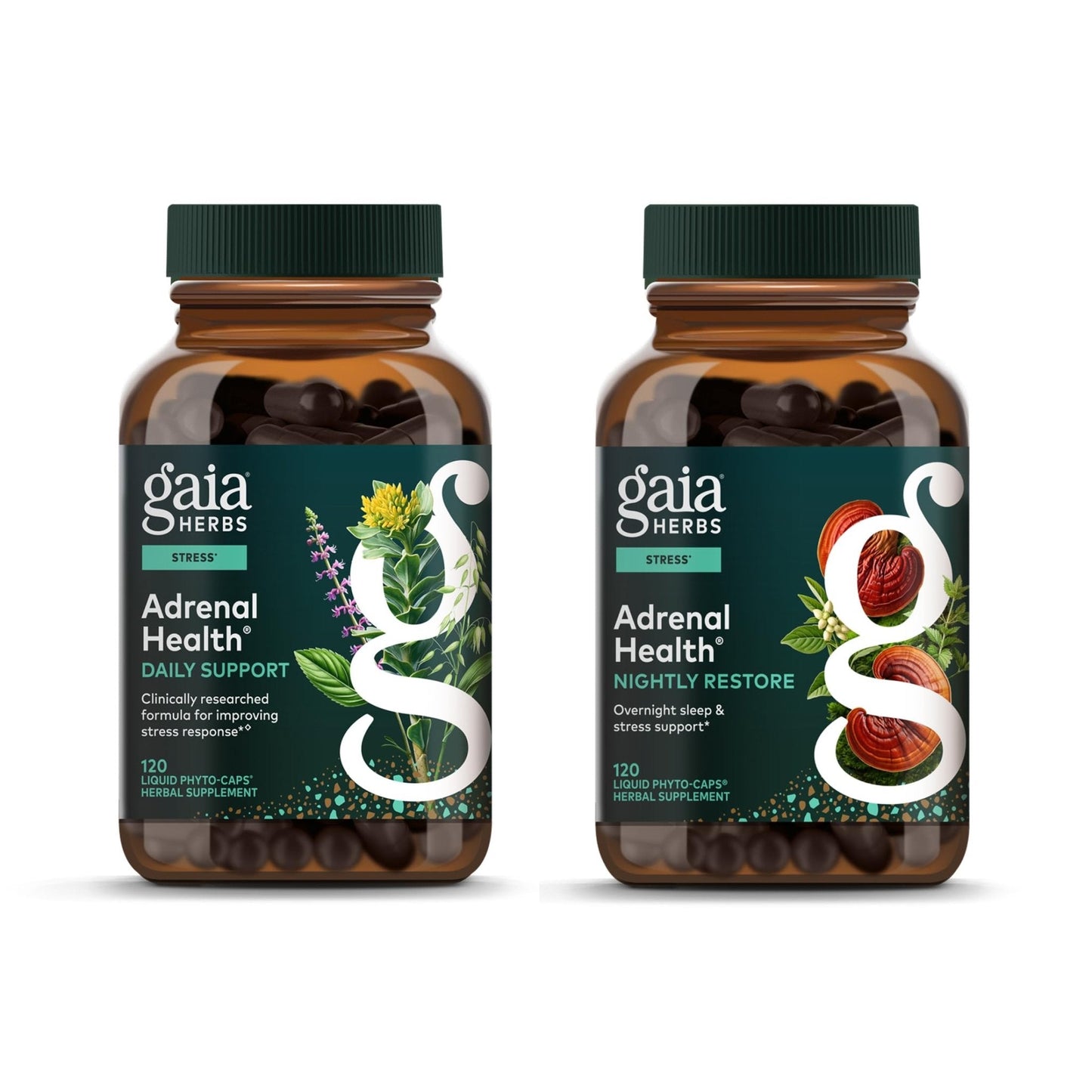Gaia Herbs Adrenal Health Daily Support, Help Maintain Healthy Energy & Stress Levels*,120 Liquid Phyto-Caps Adrenal Health Nightly Restore, 120 Liquid Phyto-Caps - Bundle - Maple Wellness Supplements