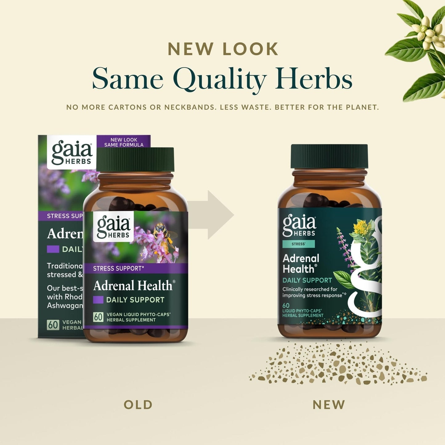 Gaia Herbs Adrenal Health Daily Support - Herbal Supplement with Ashwagandha, Holy Basil & Schisandra - Help Maintain Healthy Energy & Stress Levels* - 60 Vegan Liquid Phyto-Caps (30 Servings) - Maple Wellness Supplements