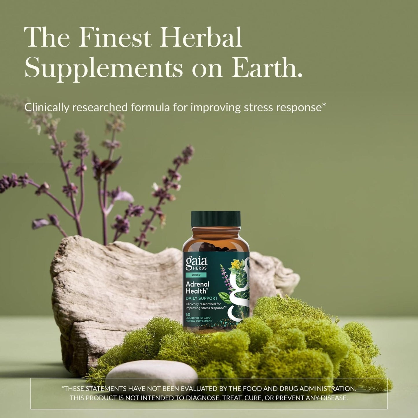 Gaia Herbs Adrenal Health Daily Support - Herbal Supplement with Ashwagandha, Holy Basil & Schisandra - Help Maintain Healthy Energy & Stress Levels* - 60 Vegan Liquid Phyto-Caps (30 Servings) - Maple Wellness Supplements