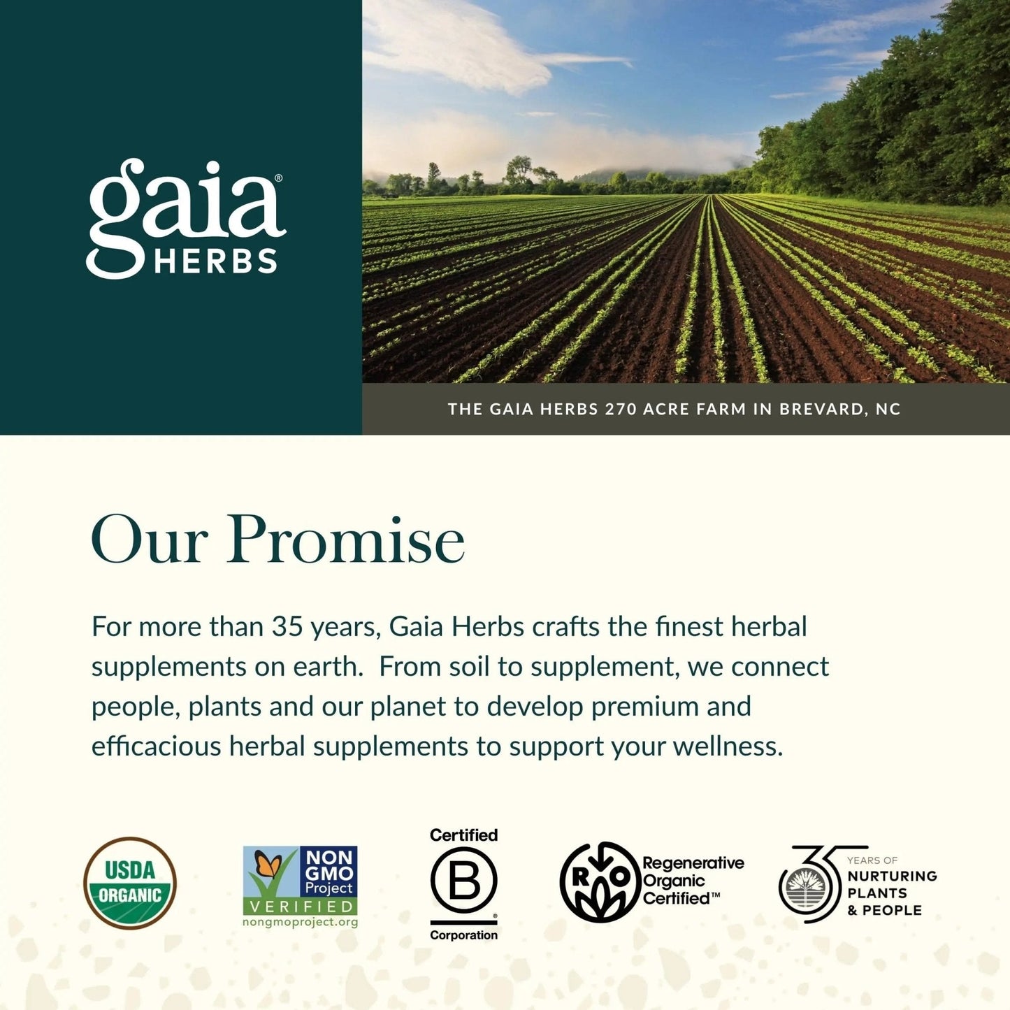 Gaia Herbs Ginger-Beet Postbiotic - Supplement for Gut & Heart Health Support* - Made with Fermented Beets & Ginger - Free from Dairy, Soy & Gluten - 60 Vegan Liquid Phyto-Caps (30 Servings) - Maple Wellness Supplements