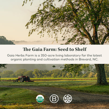 Gaia Herbs Organic Lion’s Mane Mushroom - Brain and Nerve Support Supplement - Maple Wellness Supplements