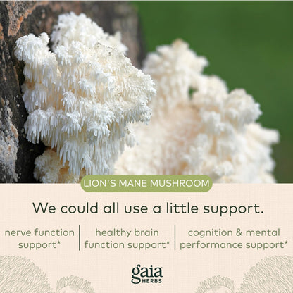 Gaia Herbs Organic Lion’s Mane Mushroom - Brain and Nerve Support Supplement - Maple Wellness Supplements