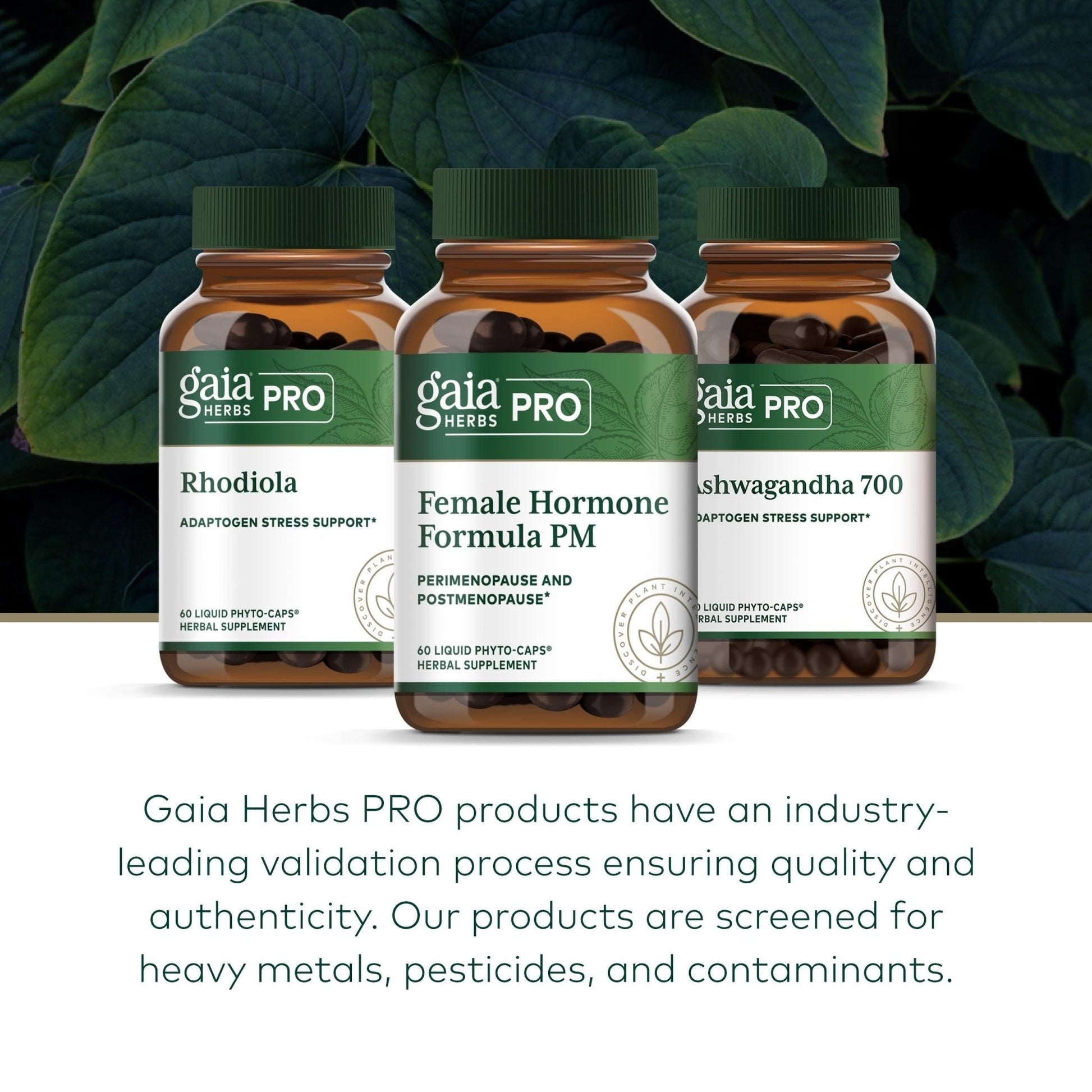 Gaia Herbs Pro Female Hormone Formula PM - Women's Health Supplement for Menopause & Sleep Support - Black Cohosh & St. John's Wort - Vegan, Soy-Free & Gluten-Free - 60 Liquid Phyto-Caps (30 Servings) - Maple Wellness Supplements