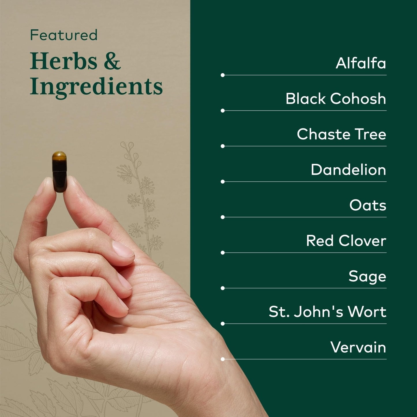 GAIA HERBS PRO Female Support Formula - Supports Healthy PMS & Menopause Fluctuations with Alfalfa Leaf, Black Cohosh Root Extract, Dandelion Root & More* - Vegan - 60 Liquid Phyto-Caps (60 Servings) - Maple Wellness Supplements