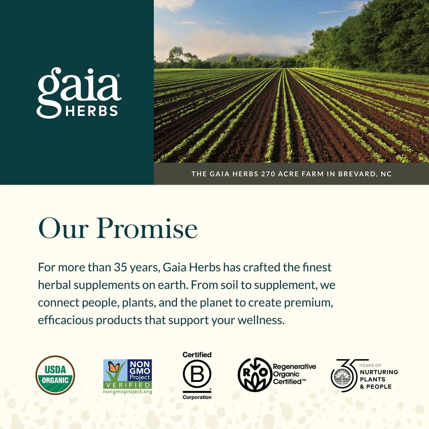 Gaia Herbs Sauerkraut Postbiotic - Gut Health & Immune Support Supplement* - Made with Fermented Sauerkraut - Free from Dairy, Soy & Gluten - 60 Vegan Liquid Phyto-Caps (30 Servings) - Maple Wellness Supplements