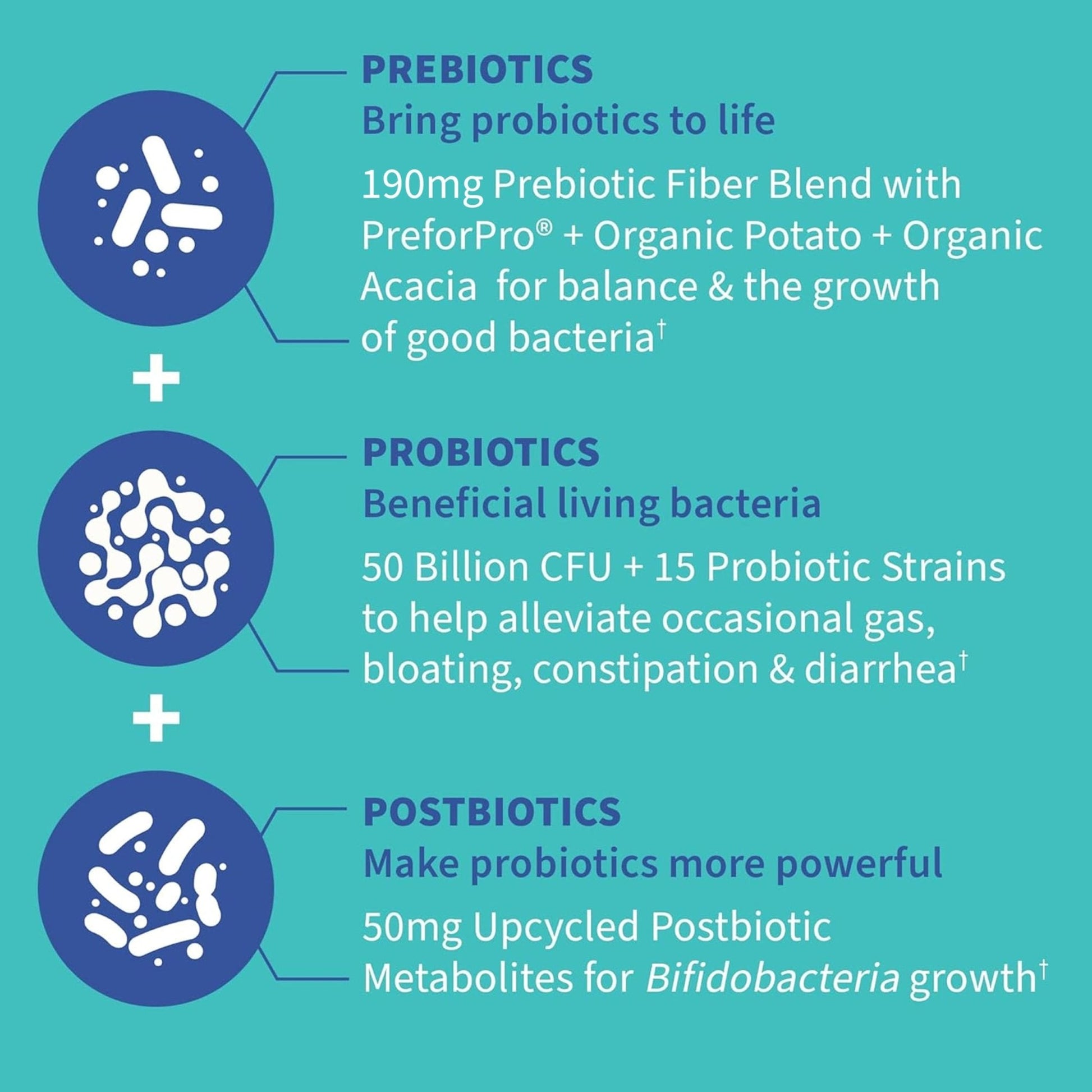 Garden of Life Dr. Formulated Pre, Post & Probiotics Gas & Bloating Once Daily 3-in-1 Complete Prebiotics, Postbiotics & Probiotics – 50 Billion CFU - Maple Wellness Supplements