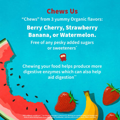 Garden of Life Dr. Formulated Probiotics Organic Kids+ plus Vitamin C & D - Berry Cherry - Gluten, Dairy & Soy Free Immune & Digestive Health Supplement - Maple Wellness Supplements