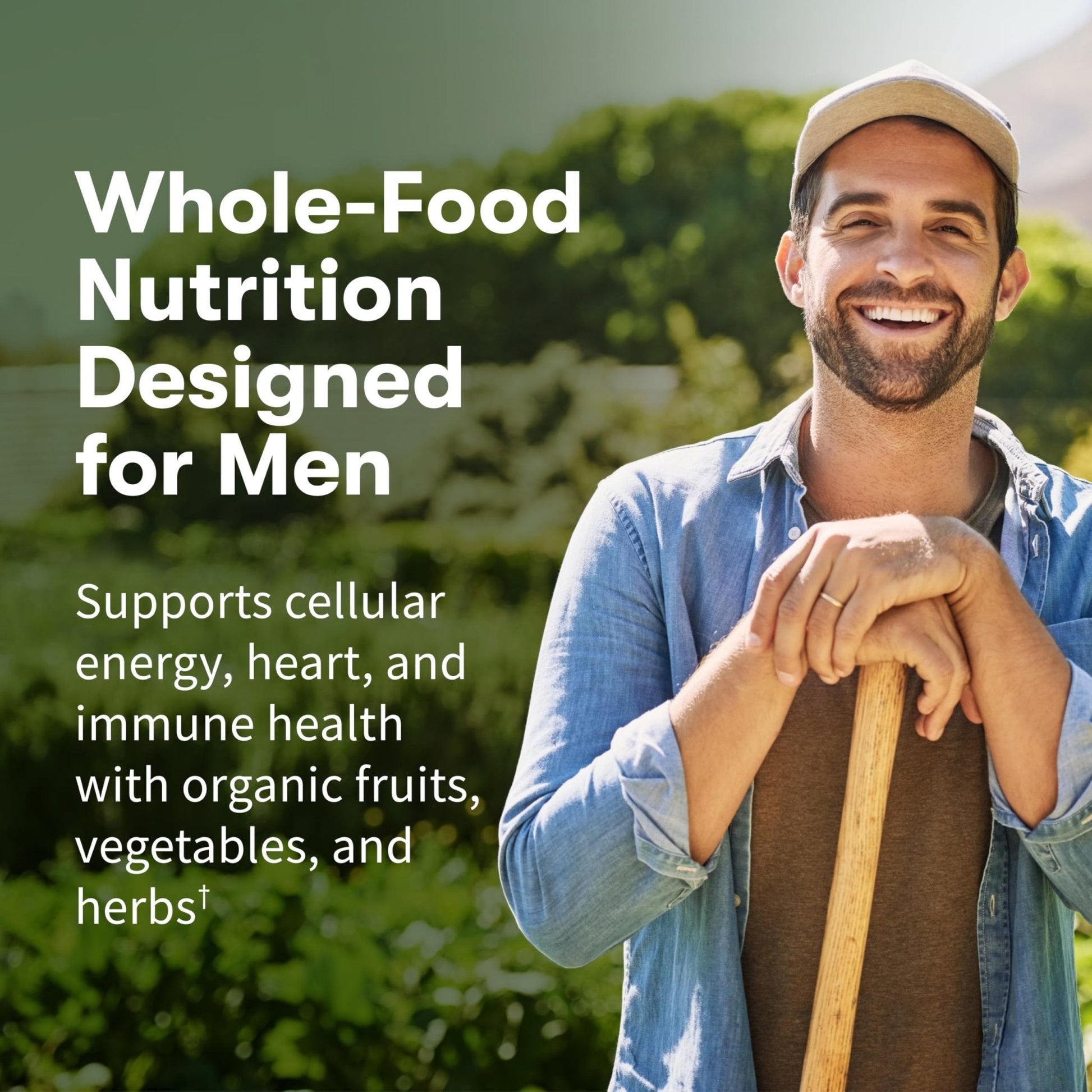Garden of Life Once Daily Whole Food Multivitamin for Men, Organic Mens Vitamins & Minerals, Vitamin C, Zinc, Vegan, for Health & Well-Being, 60 Tablets - Maple Wellness Supplements