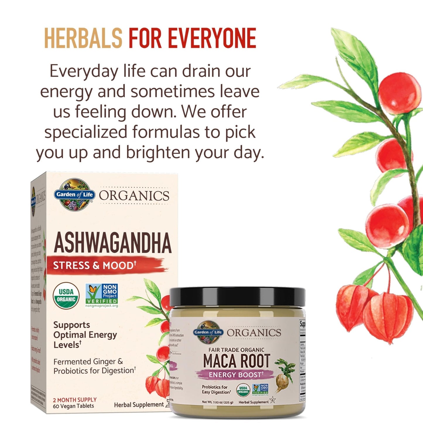 Garden of Life Organic Ashwagandha Supplement with Probiotics & Ginger - Stress, Mood & Energy Support, Vegan, Gluten Free - Maple Wellness Supplements