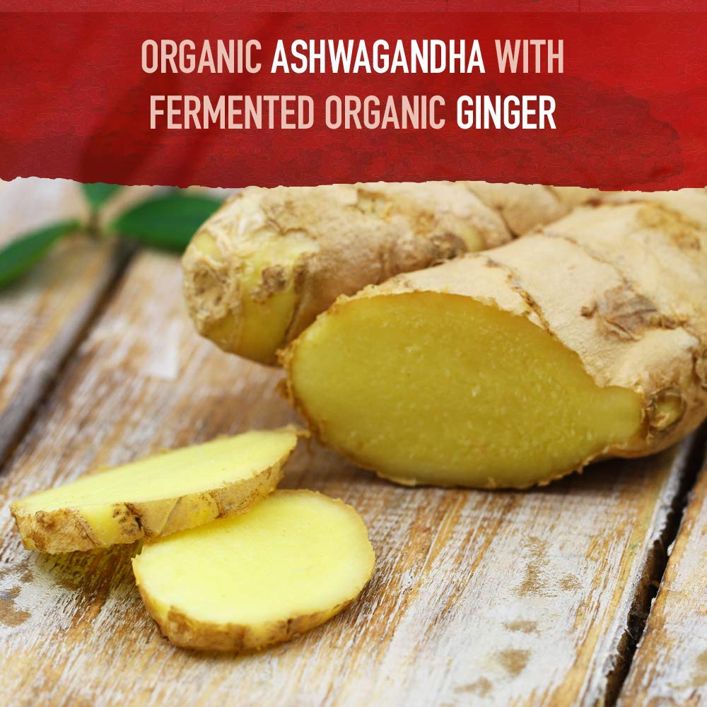 Garden of Life Organic Ashwagandha Supplement with Probiotics & Ginger - Stress, Mood & Energy Support, Vegan, Gluten Free - Maple Wellness Supplements