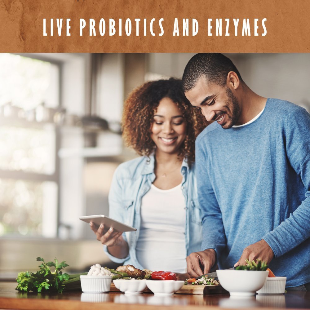 Garden of Life Organic Plant Protein Smooth Chocolate Powder, 10 Servings - Vegan, Grain - Maple Wellness Supplements