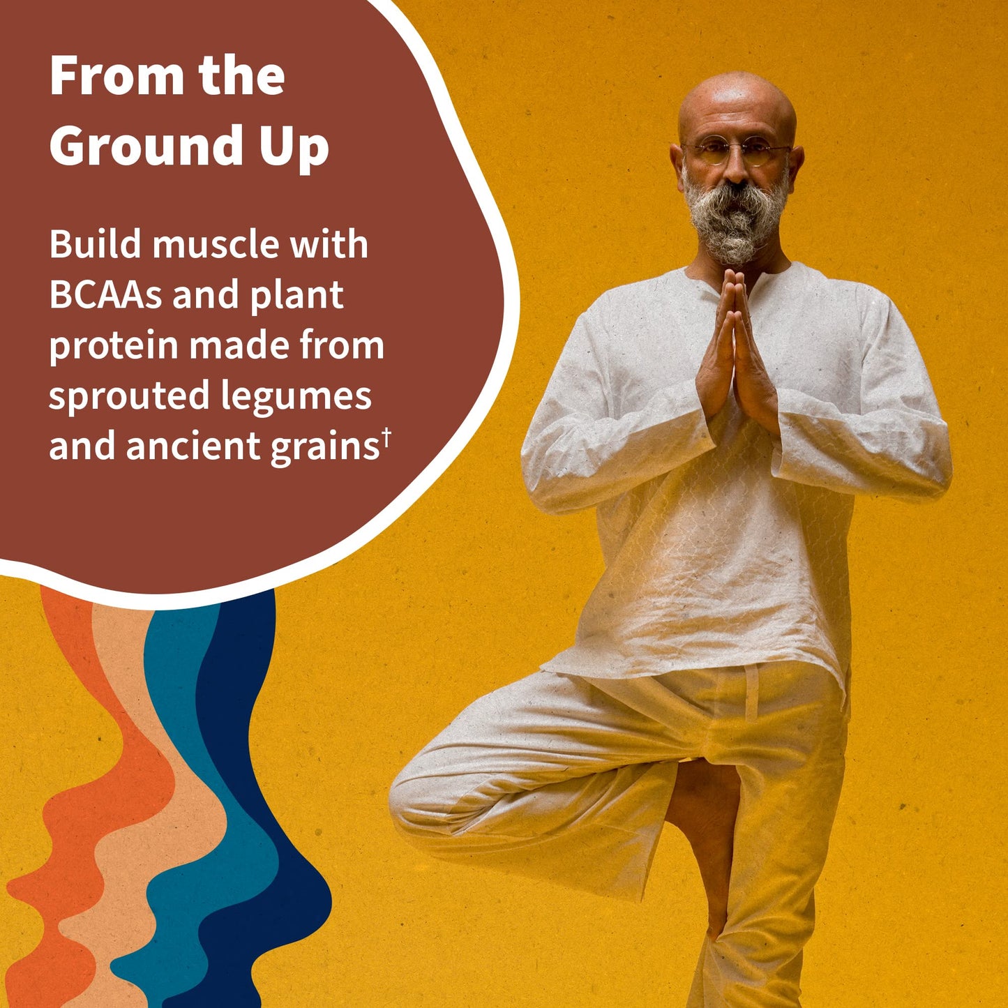 Garden of Life, Organic Vegan Vanilla Chai Protein Powder -22g Complete Plant Based Raw - Maple Wellness Supplements