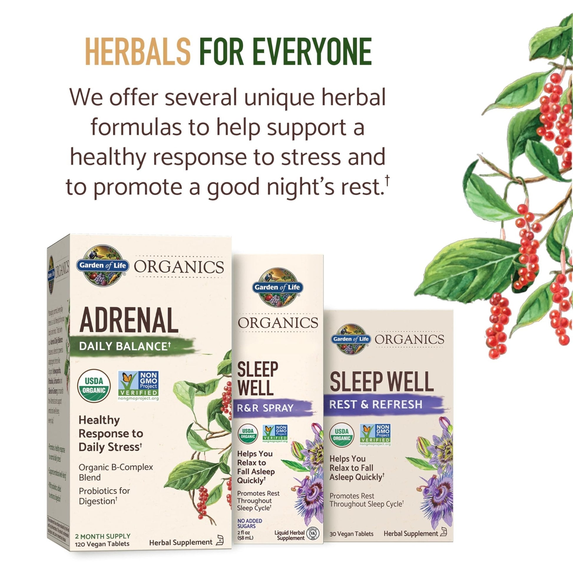 Garden of Life Organics Adrenal Daily Balance, Adaptogenic Herbs Ashwagandha, Holy Basil, B Complex & Probiotics, Organic Non-GMO, Vegan, Gluten Free Supplement, Two Month Supply, 120 Tablets - Maple Wellness Supplements