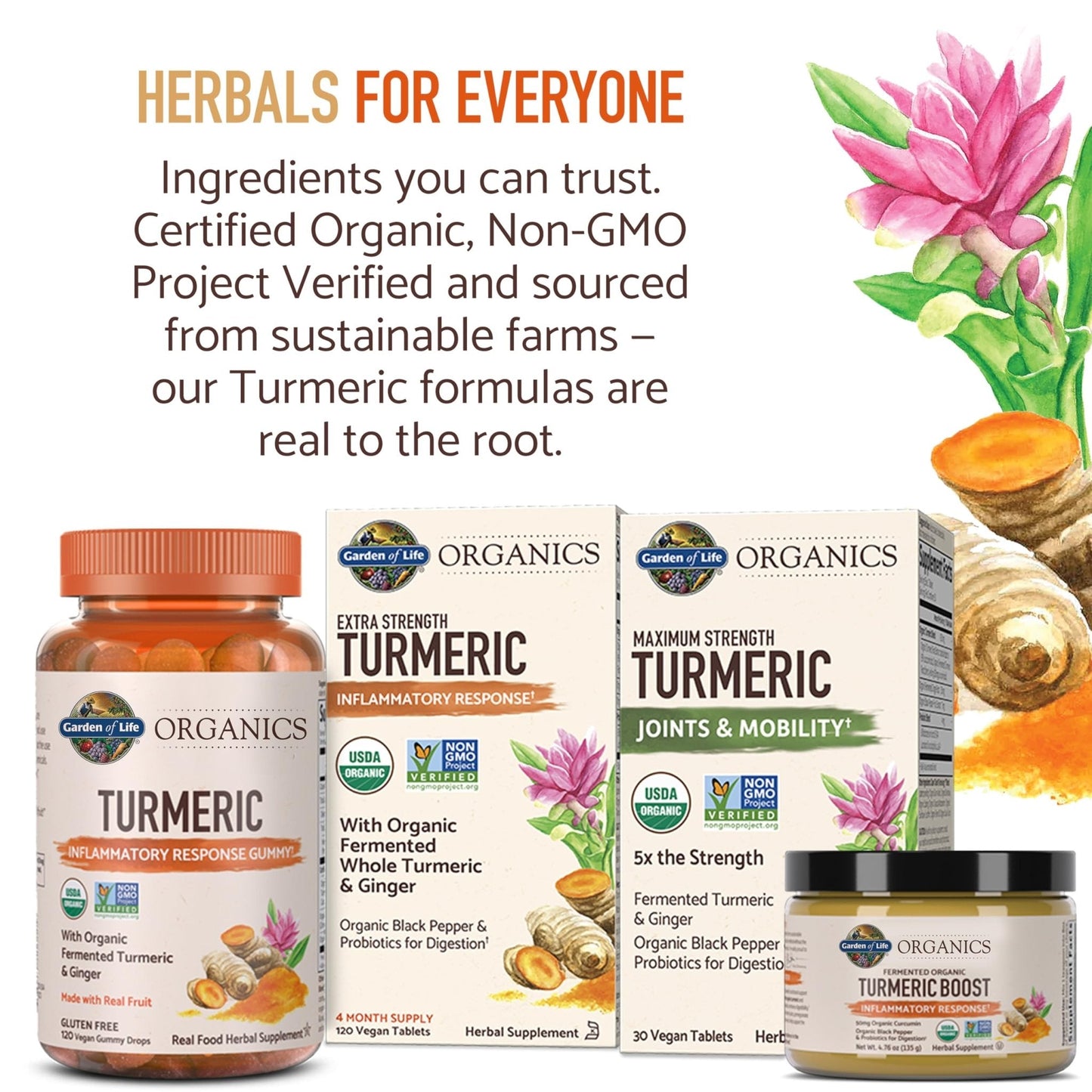 Garden of Life Organics Golden Milk Recovery & Nourishment Powder - 44mg Turmeric Curcumin (95% Curcuminoids), Ashwagandha - Organic Non-GMO Vegan & Gluten - Maple Wellness Supplements