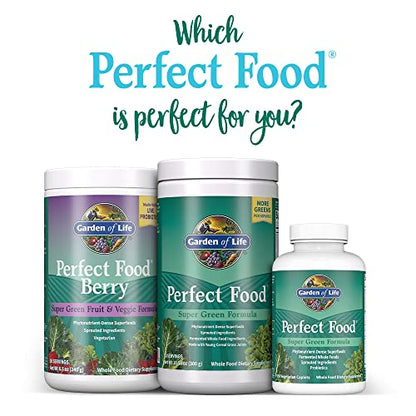 Garden of Life Perfect Food Super Green Formula - 14 Servings | 45 Superfoods, Greens - Maple Wellness Supplements