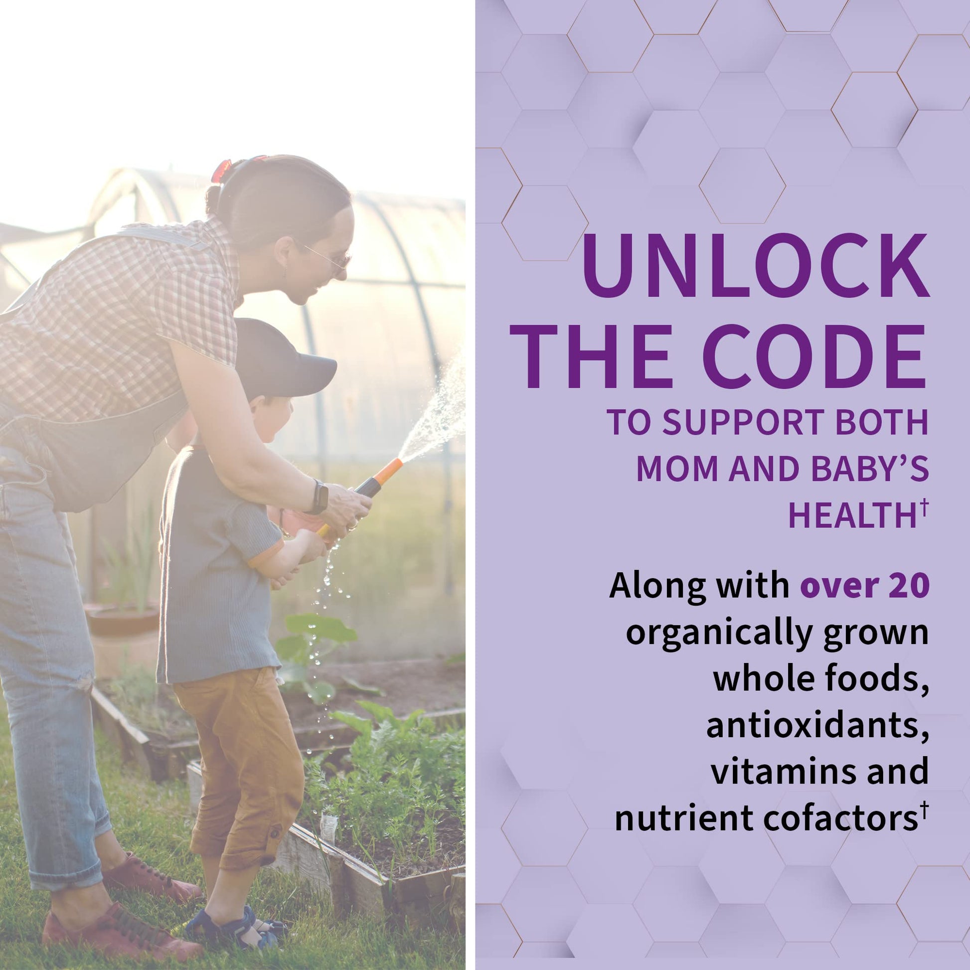 Garden of Life Prenatal Multivitamin for Women with Iron, Folate & Vitamin C and D3 for Neural Development & Probiotics for Immune Support - Maple Wellness Supplements
