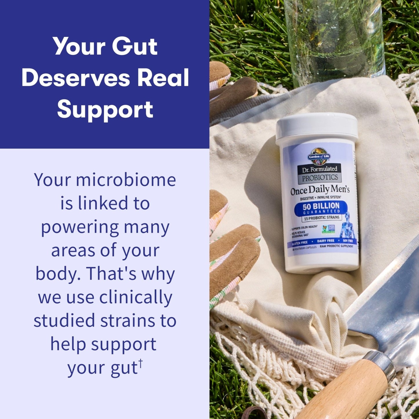 Garden of Life Probiotics for Men, Dr Formulated 50 Billion CFU 15 Probiotics for Digestive Health + Organic Prebiotic Fiber, Colon & Immune Support - Maple Wellness Supplements