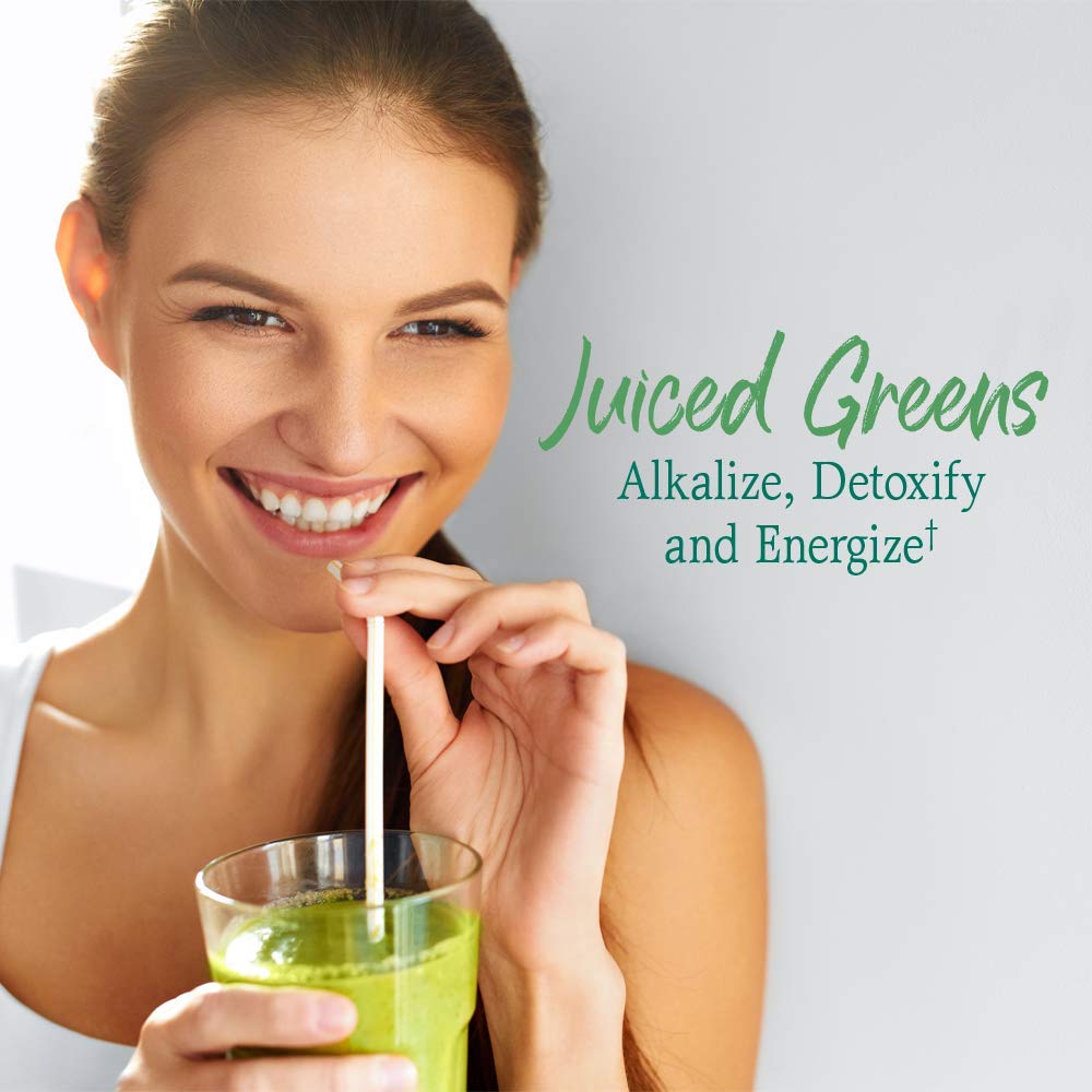 Garden of Life Raw Organic Perfect Food Alkalizer & Detoxifier Juiced Greens Superfood - Maple Wellness Supplements