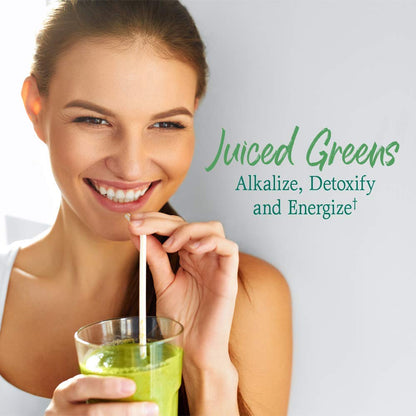 Garden of Life Raw Organic Perfect Food Alkalizer & Detoxifier Juiced Greens Superfood - Maple Wellness Supplements
