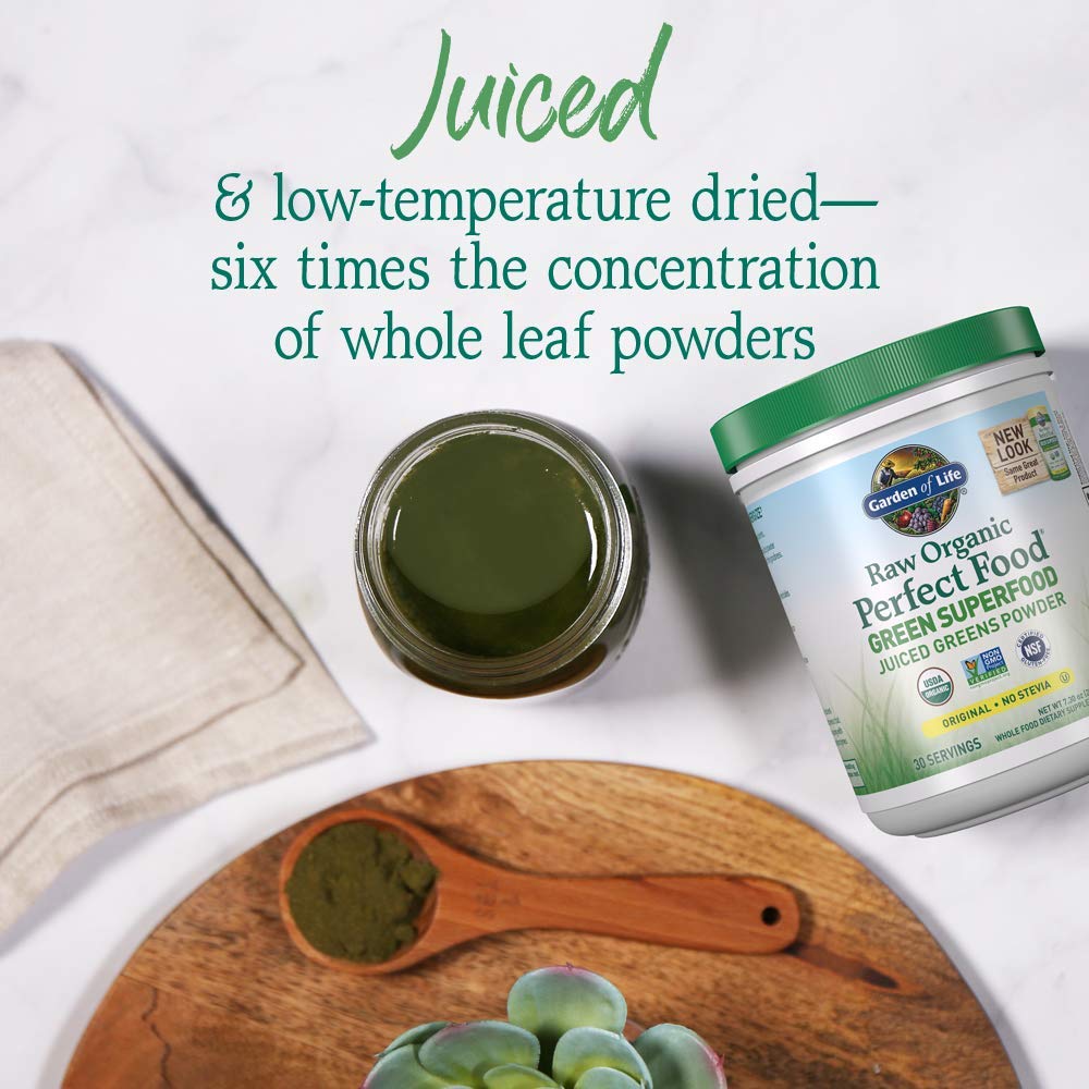 Garden of Life Raw Organic Perfect Food Alkalizer & Detoxifier Juiced Greens Superfood - Maple Wellness Supplements