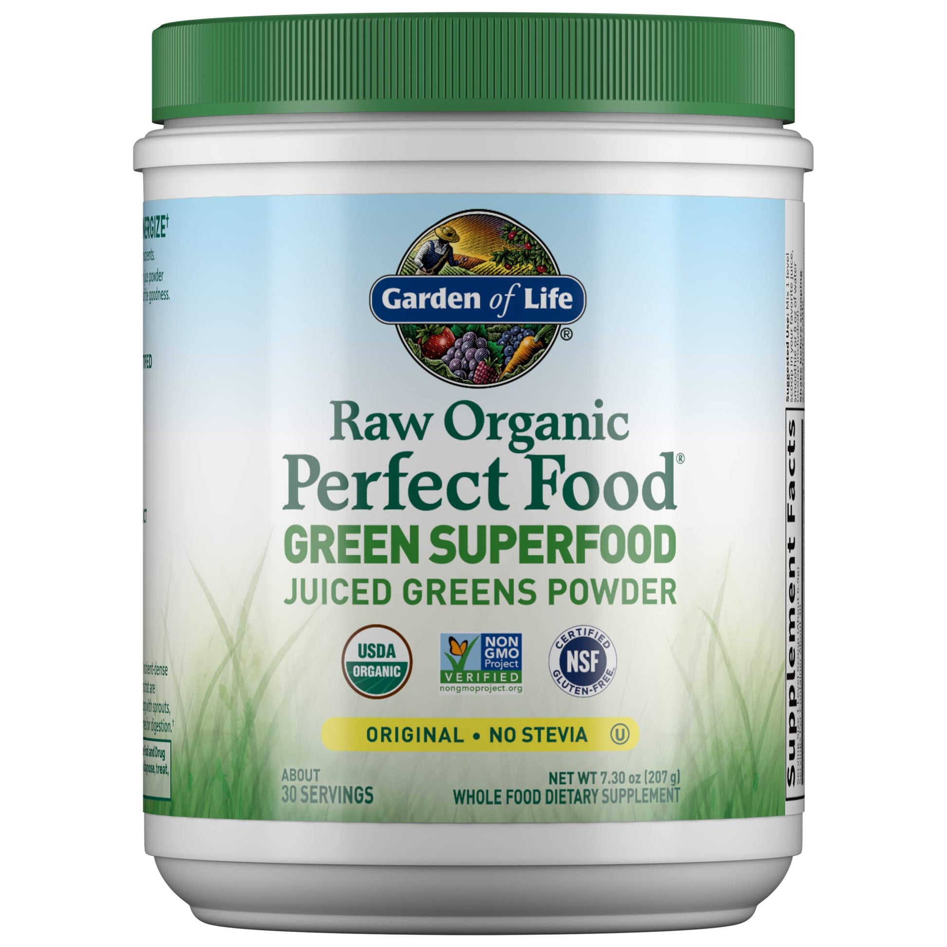 Garden of Life Raw Organic Perfect Food Alkalizer & Detoxifier Juiced Greens Superfood - Maple Wellness Supplements
